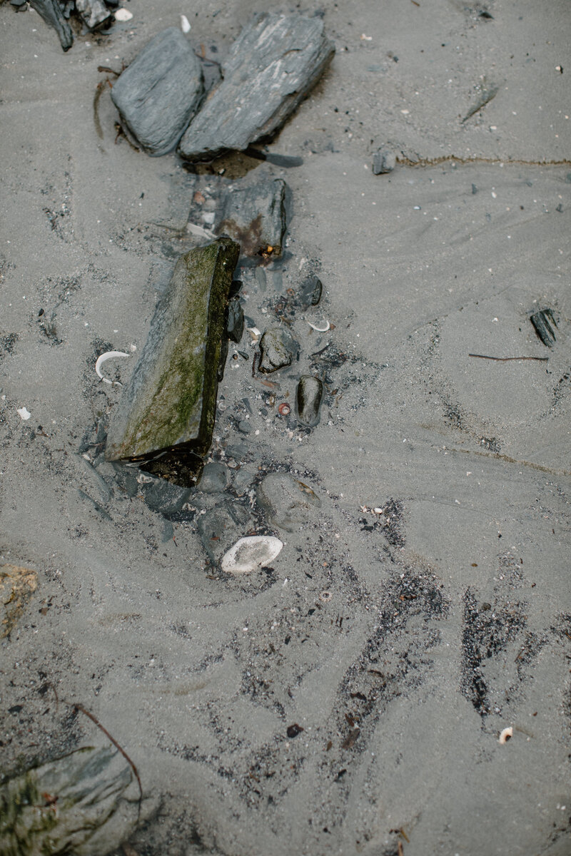 maine-willard-beach-engagement-photographer-12