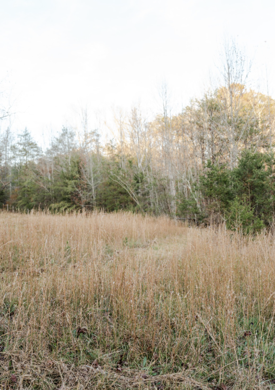 outdoor photography studio greenville field