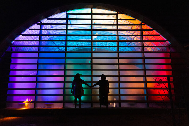 An LGBTQ couple holding hands in front of a rainbow lit wall at their engagement party
