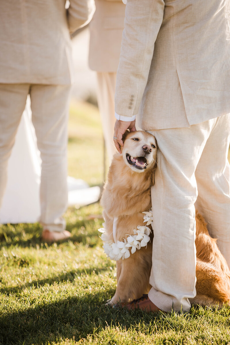 KJ-Scripps-Seaside-Forum-La-Jolla-Wedding-110