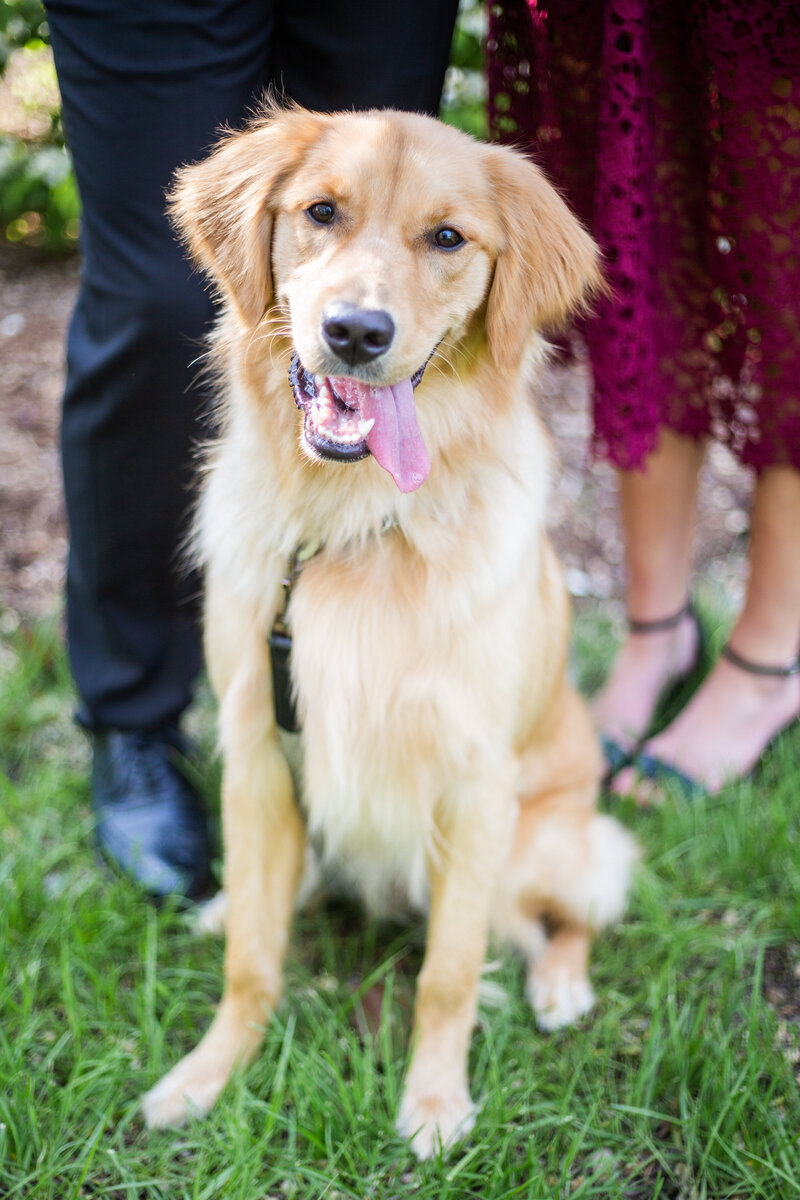 Amanda Jacob Engaged - Kristina Cipolla Photography-1-5