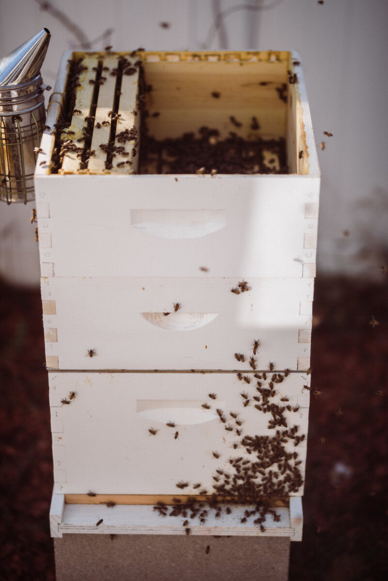 A black and white photo of Carrie smiling next to beehives in her bee suit holding a smoker