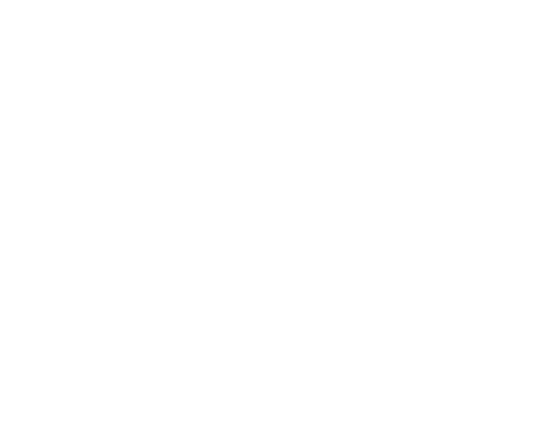 ll logo 1 (1)