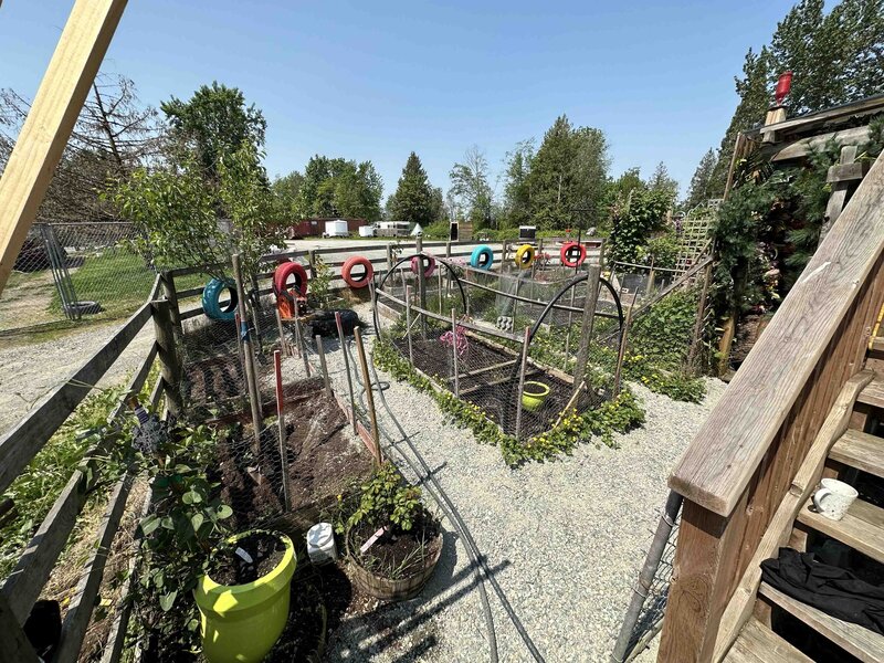 The Silo Garden 2024 - 03