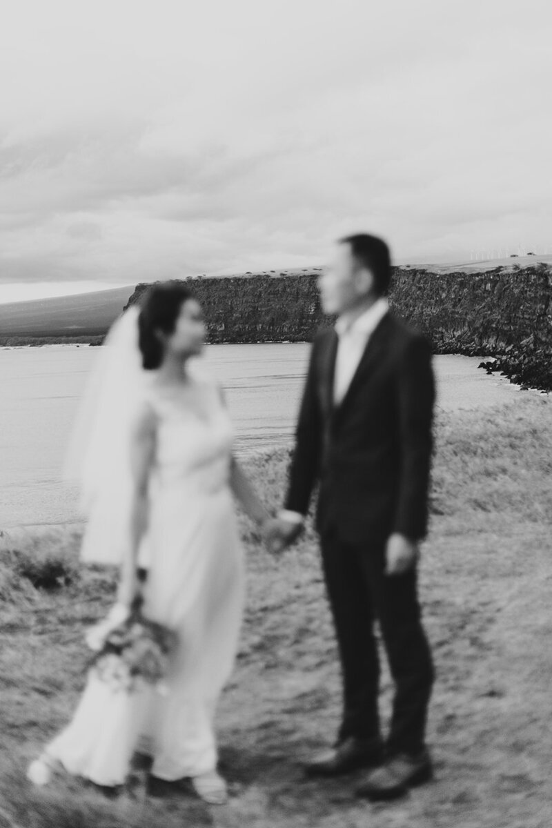 22.10.05_Sze and Kiko_Hawaii Elopement_Aly Dove Photography _0278_websize