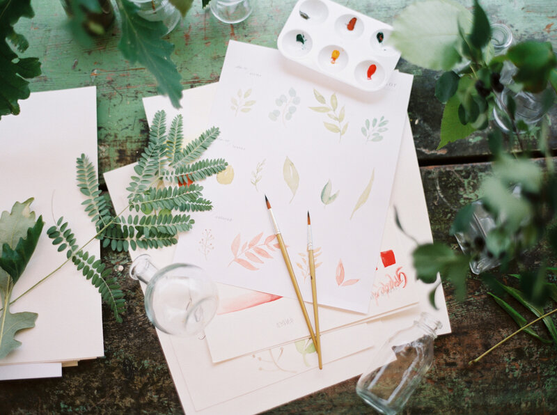watercolor sketches by brand photographer studio soma in madison wisconsin