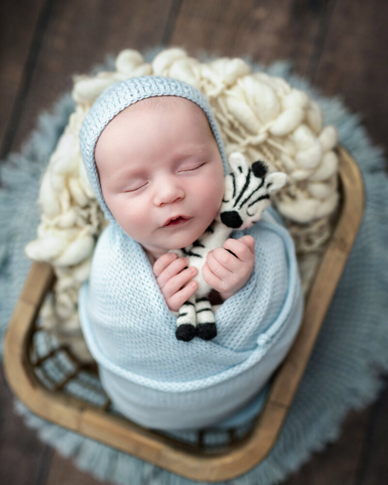 Newborn boy wrapped in blue, holding a zebra felt toy while sleeping peacefully in a rustic wood basket.
