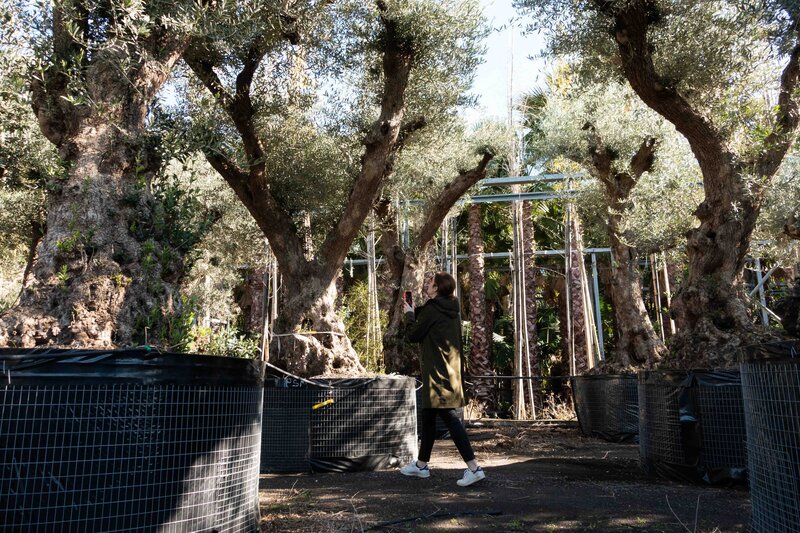 Horus paysages_sourcing_Olivier millenaire_Claire marie lecharny_22