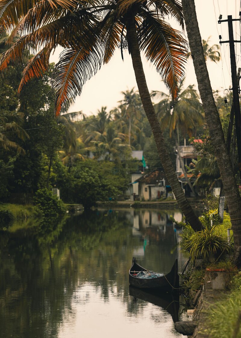 Kerala wellness retreat