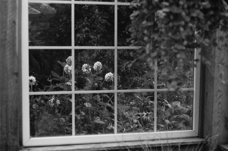 black and white film image of rainy day in Girdwood Alaska