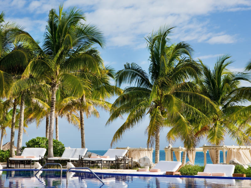 oceanfront pool with palm trees and luxery loungers
