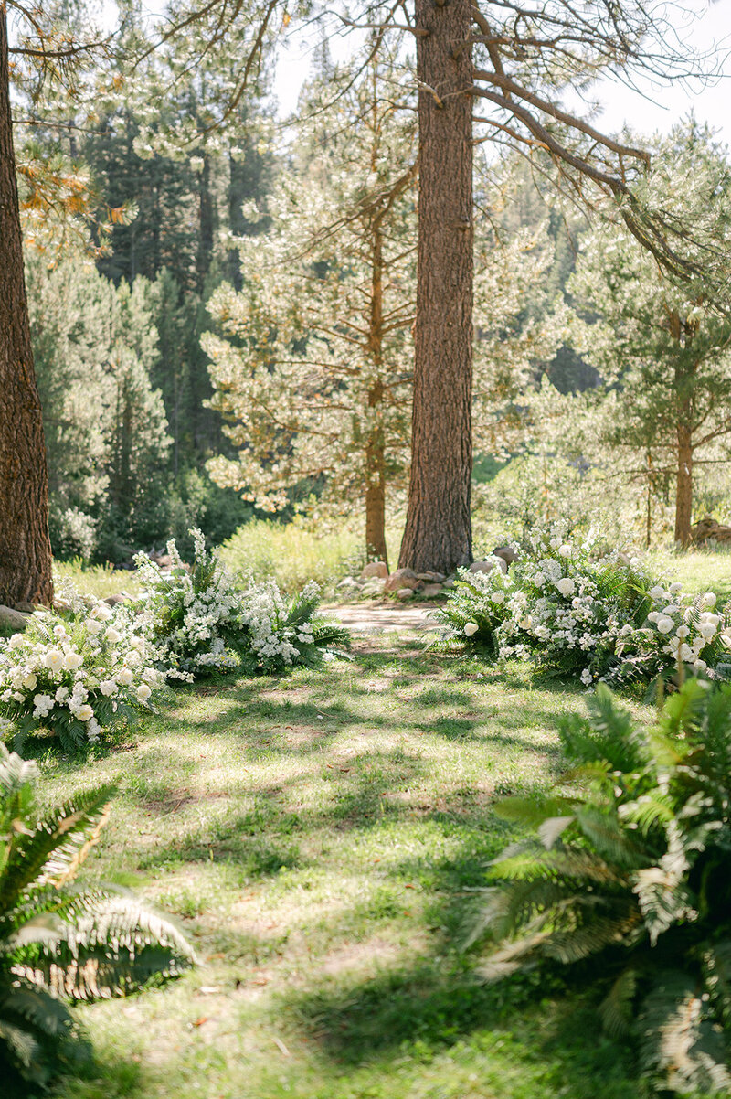 Dancing-Pines-Tahoe-Editorial-19