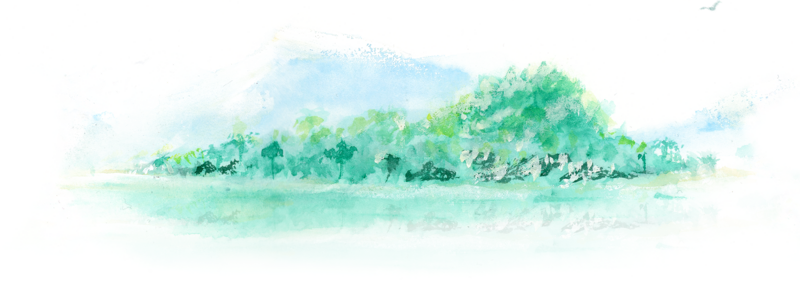 Island Watercolour