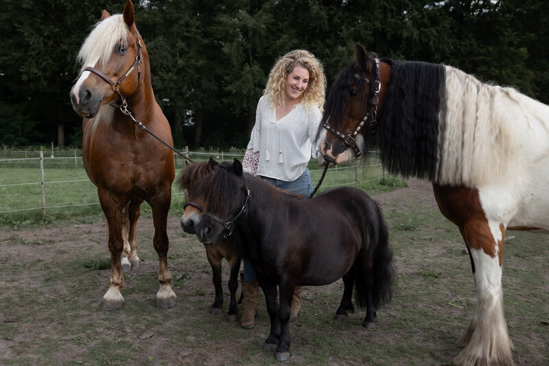 nikii Kleefman met haar team van paarden in de wei  vlakbij Groningen.