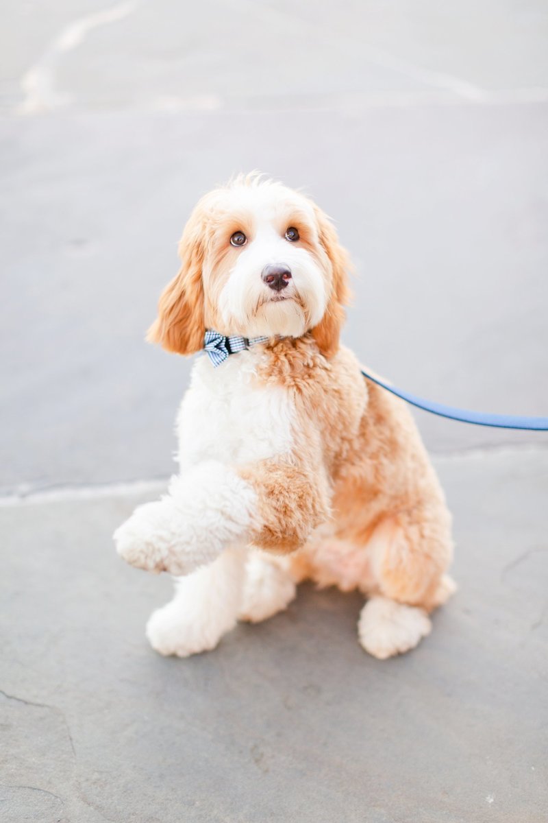 christa-rene-photography-125