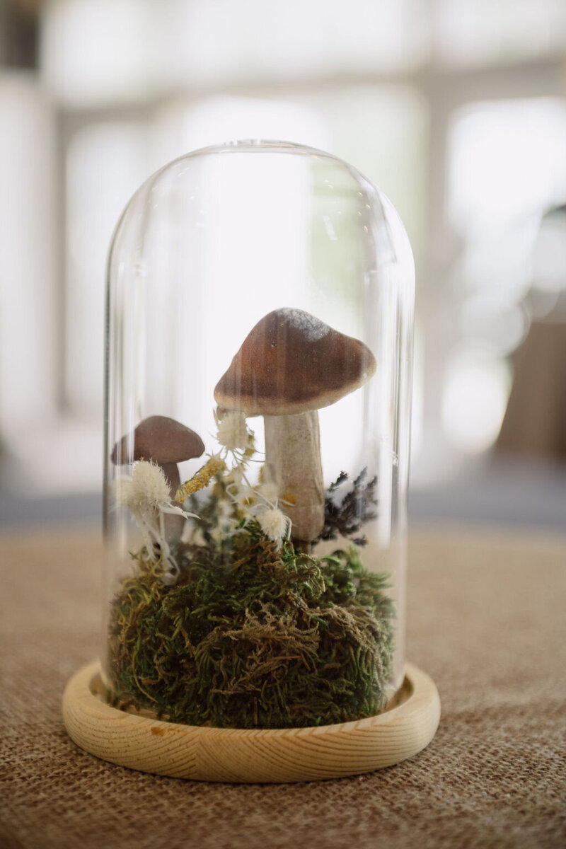 Shelby_Sam(292of843)