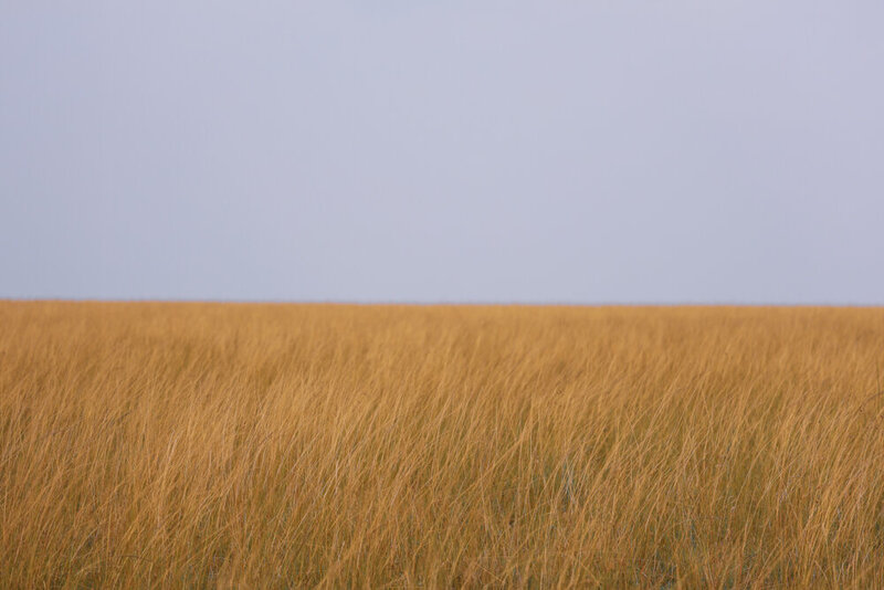 safariedited-077