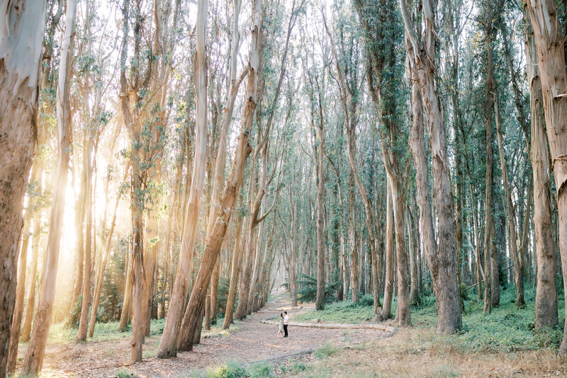 JC_Lovers-Lane-Engagement-Session-RKP-170