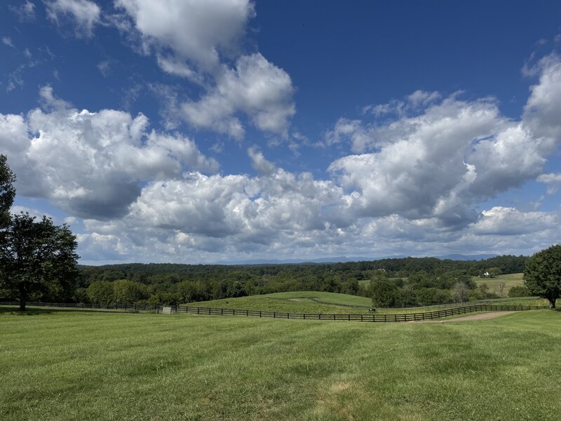 open field and views for photos 