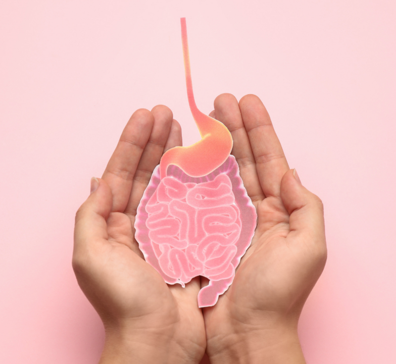 woman holding paper cutout of the GI tract in both hands against a soft pink background