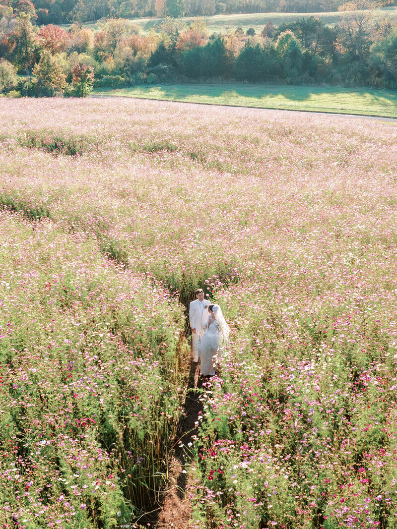 Alexis&Justin_PippinHillFarmWedding_Previews-83