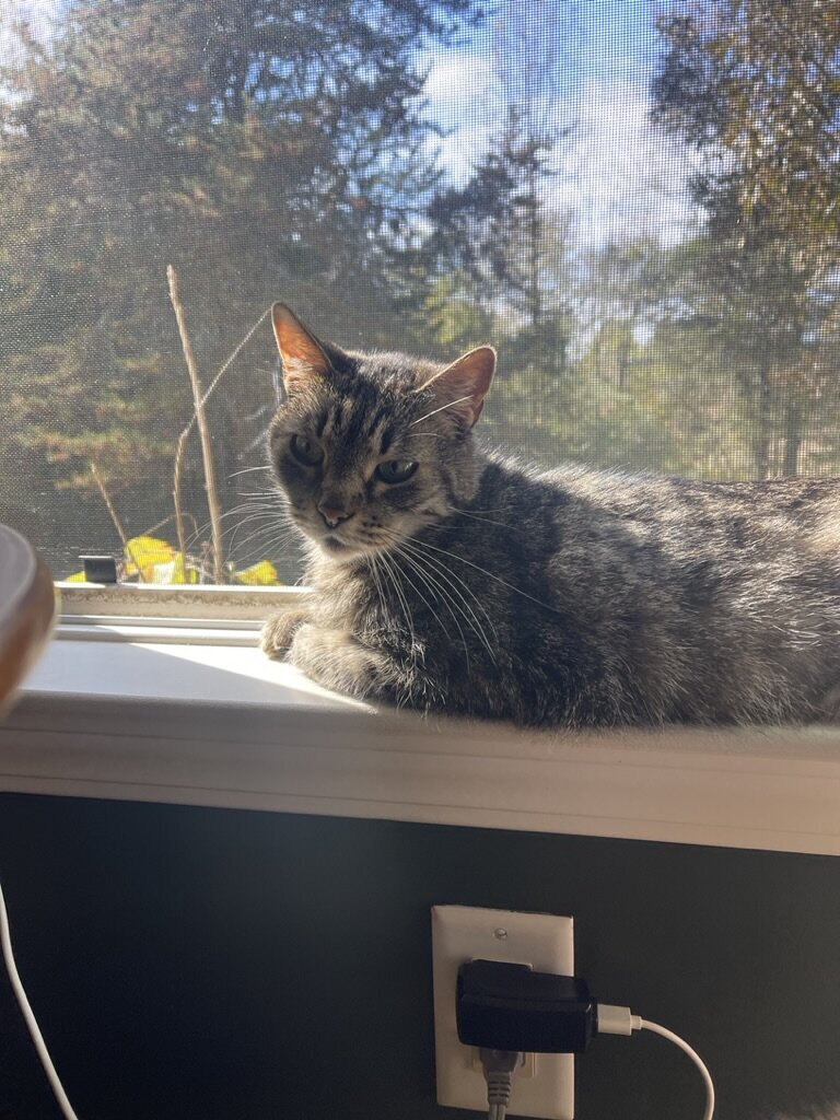 vader-in-window