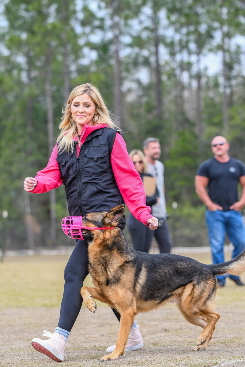 Personal protection dog working on heel with it's handler in Charleston South Carolina.