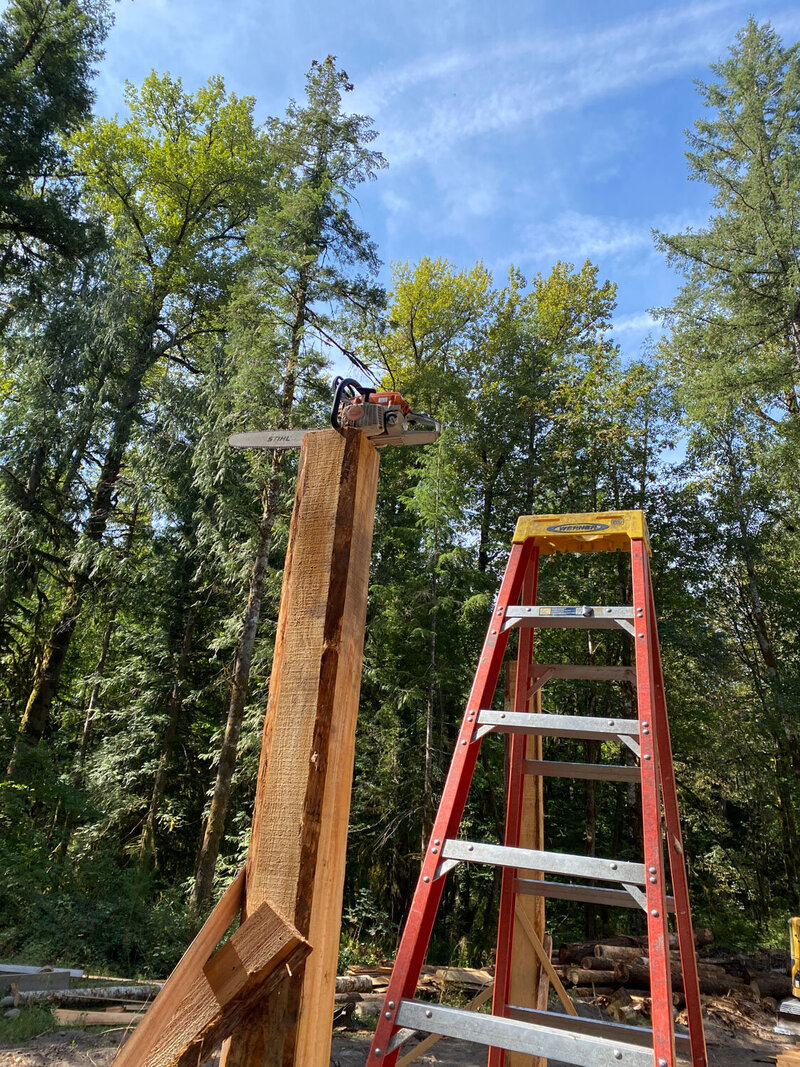 Ladder next to a tall wooden beam with a chainsaw on top