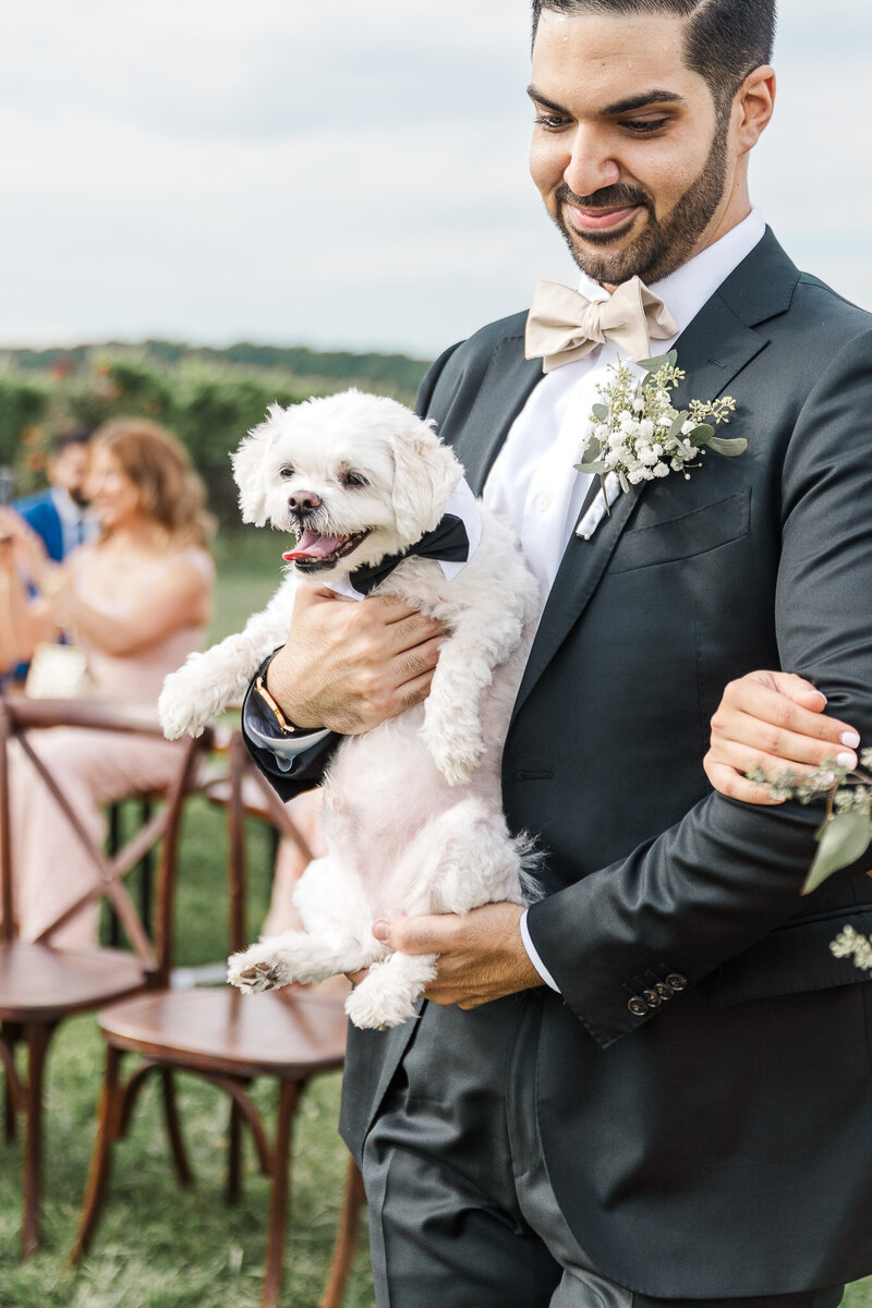 Stone Tower Winery Wedding - Faraz and Nikta-8