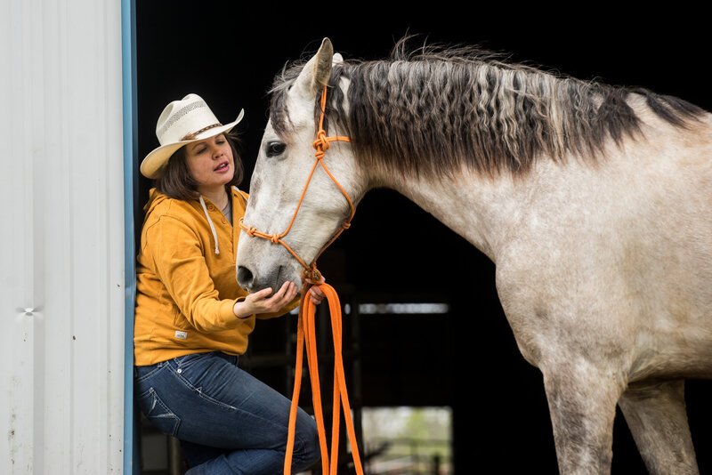 Equestrian-268