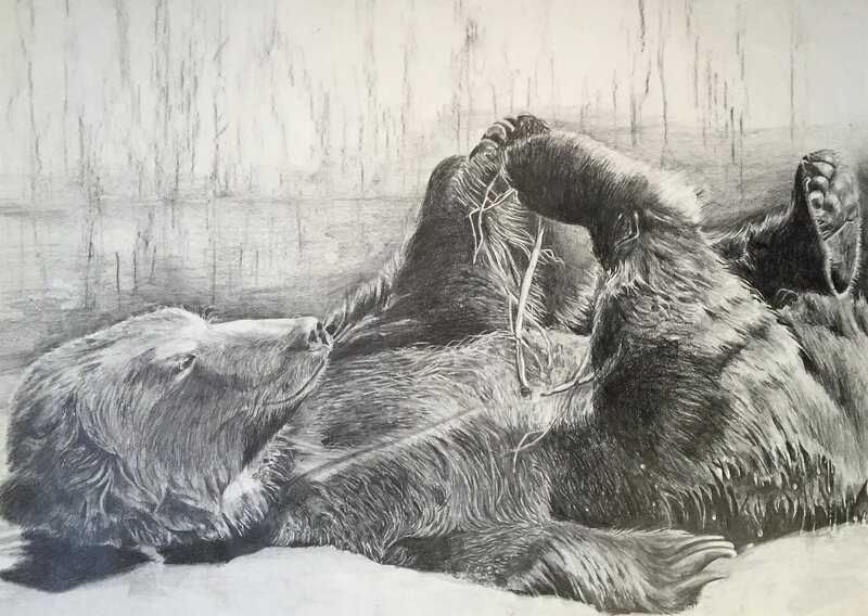 julie-fox-artist-sketch (13)