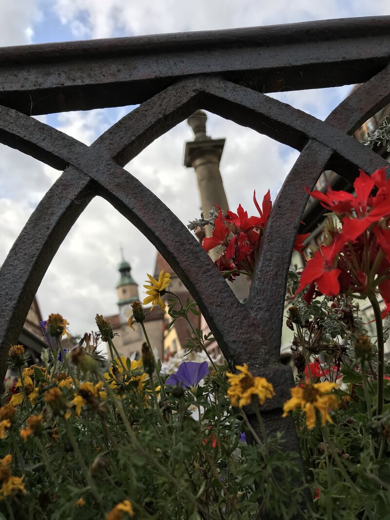 statue and flowers in Germany, image taken by Caroline Amelie