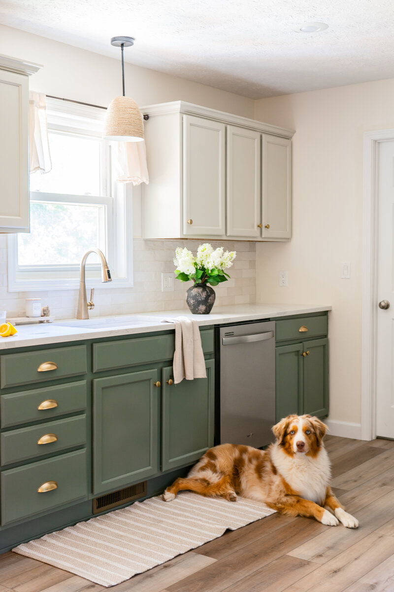 Sage green and white kitchen with client dog posing in photo in front of sink