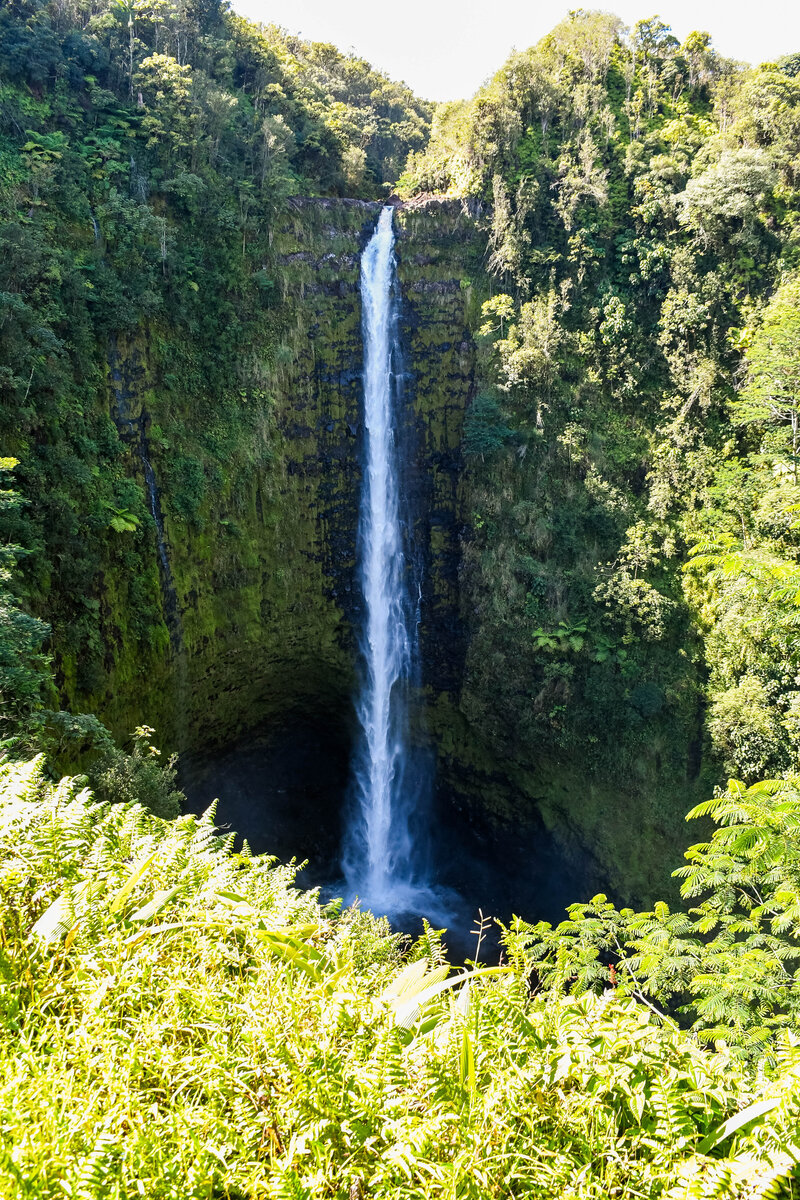 DSC_3574