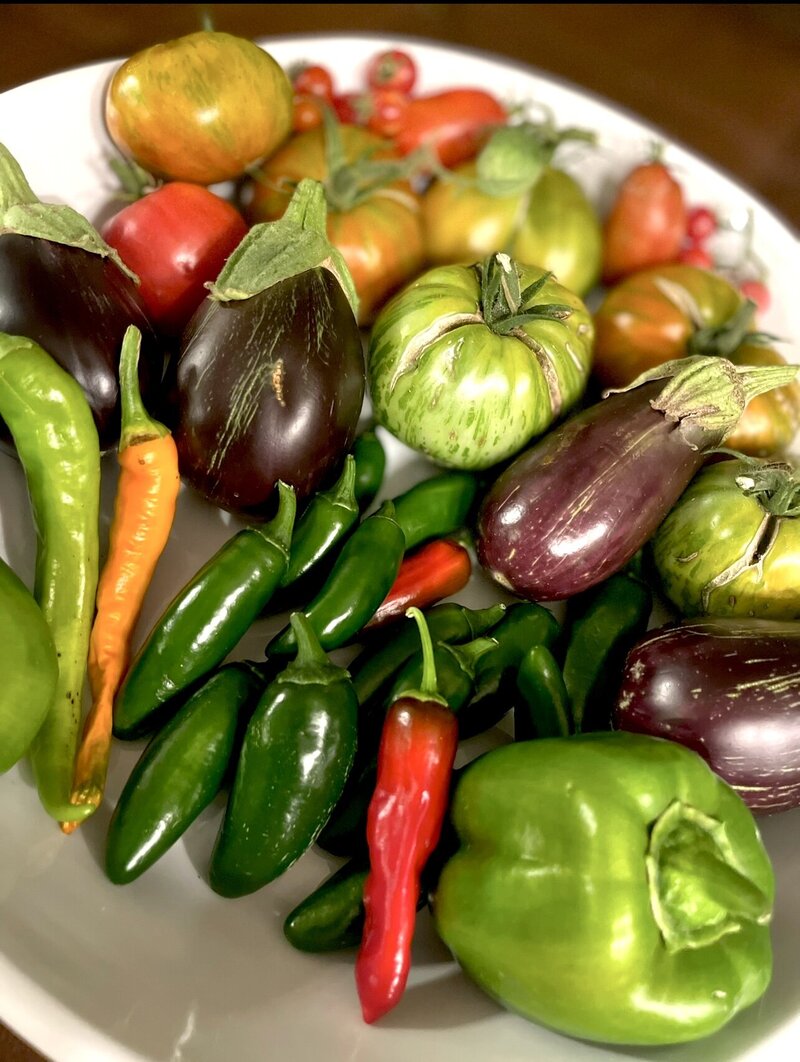 A bountiful harvest of peppers, eggplant, and tomatoes grown in a garden 