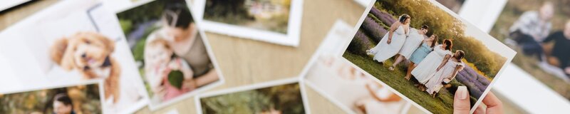 Fall and Tree Farm sessions in Kitchener-Waterloo