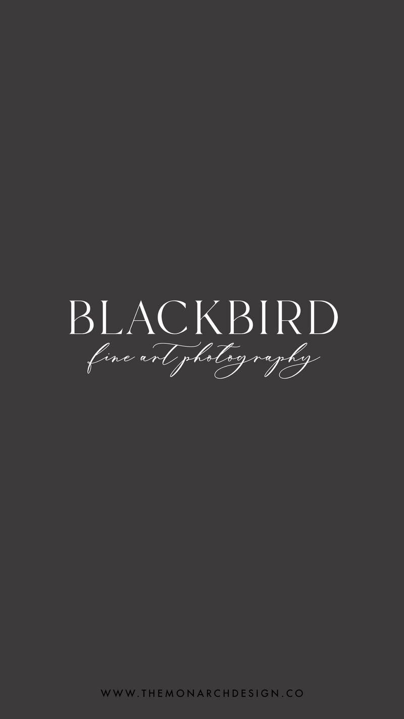 Blackbird-photography-social media - stories9