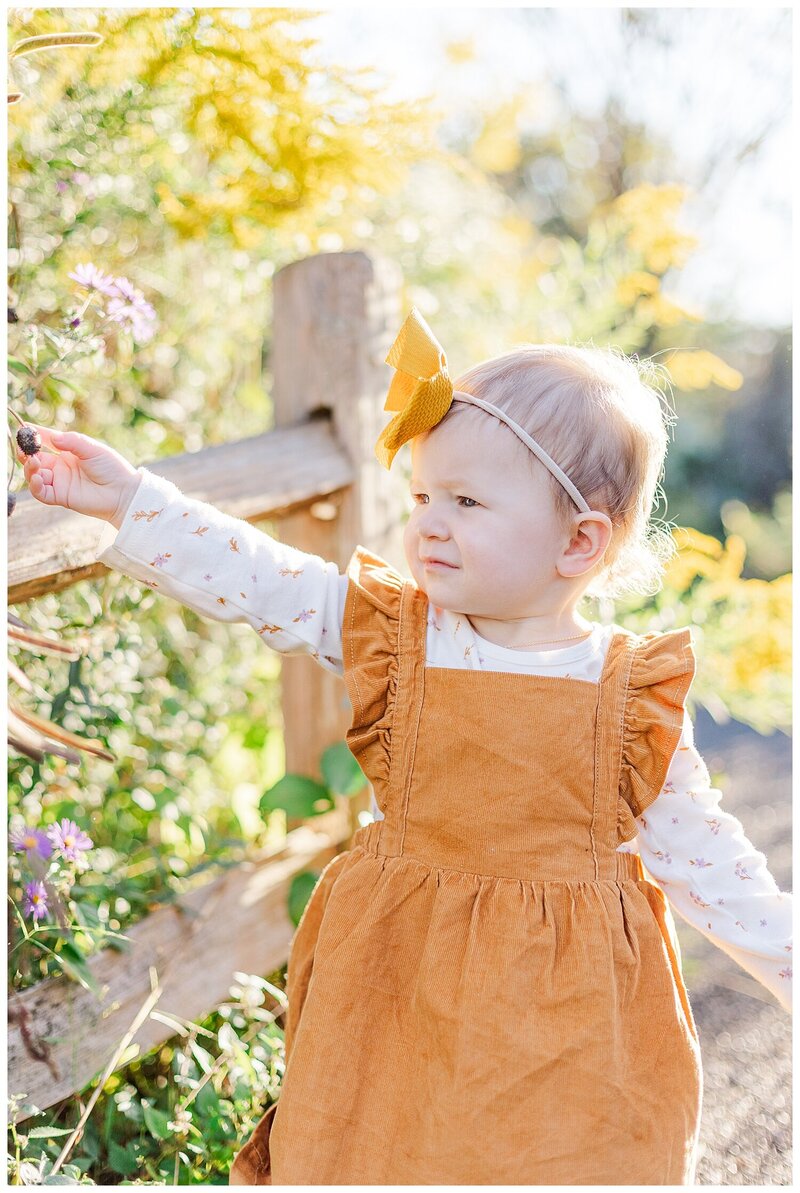 Knoxville family photos with young kid looking at flowers