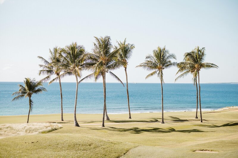Tall palm trees overlooking the ocean in the Dominican Republic near a golf course