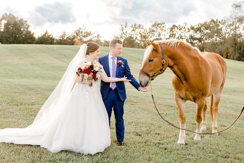 Klaire-Dixius-Photography-Fine-Art-Virginia-Wedding-Photographer-Foxchase-Farm-Wedding-Middleburg-Virginia-Matt-Erin-bride-groom-281_websize