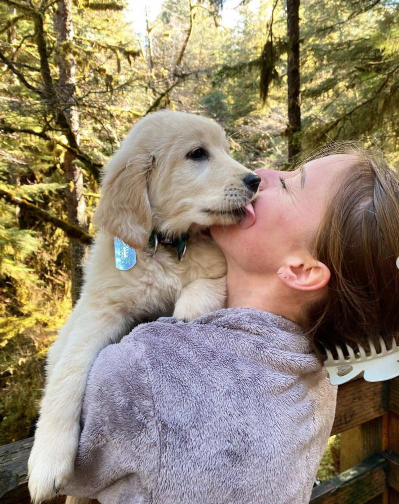 A young golden retriever giving owner a lick on the cheek