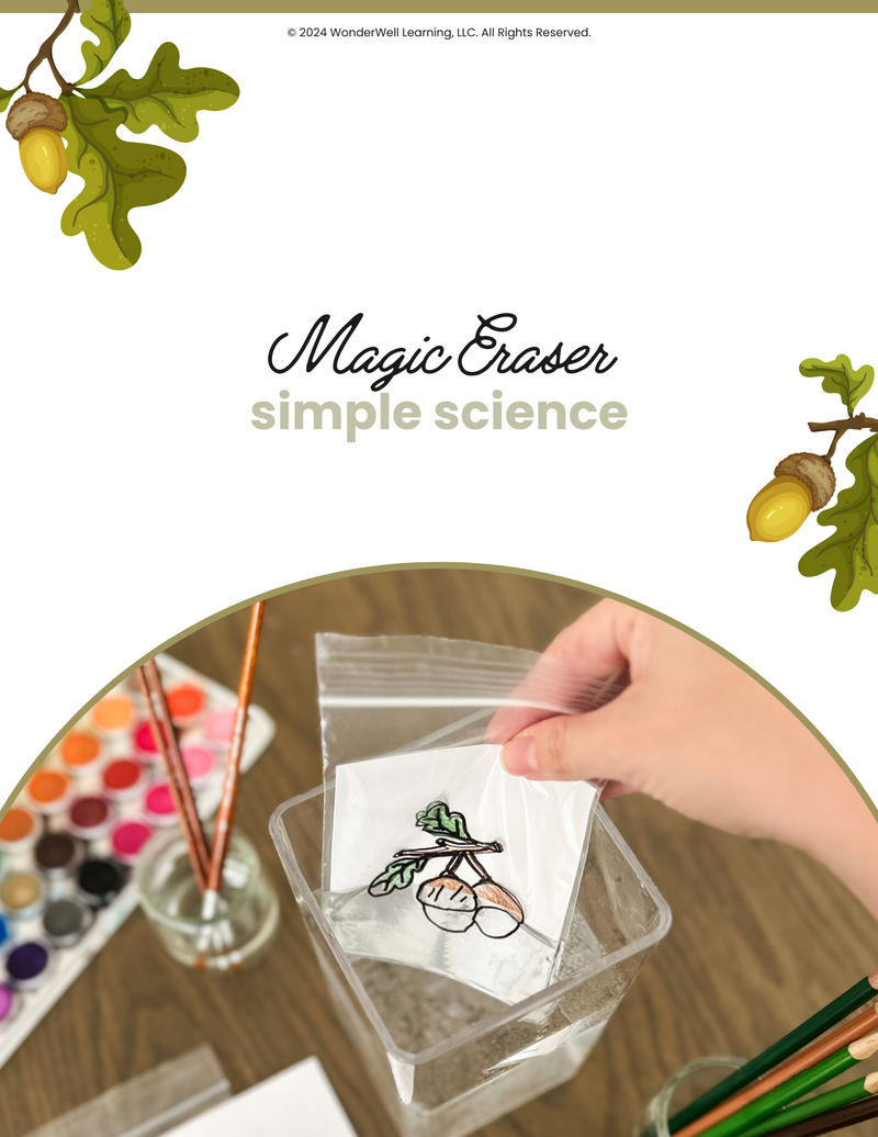 St. Patrick’s Day Nature Pattern Match — cover