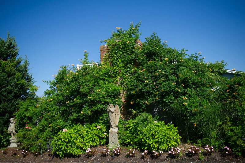 Bonnet Island Estate July Landscape13