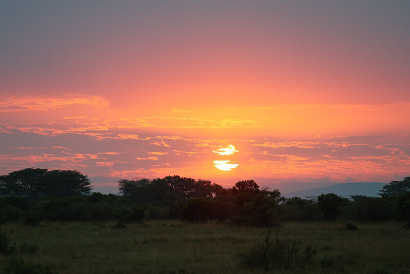 safariedited-131