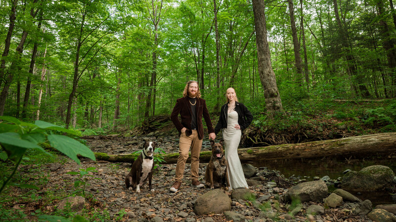 Bride and groom eloping with their dogs at the Delaware Water Gap in the Poconos, surrounded by natural beauty.