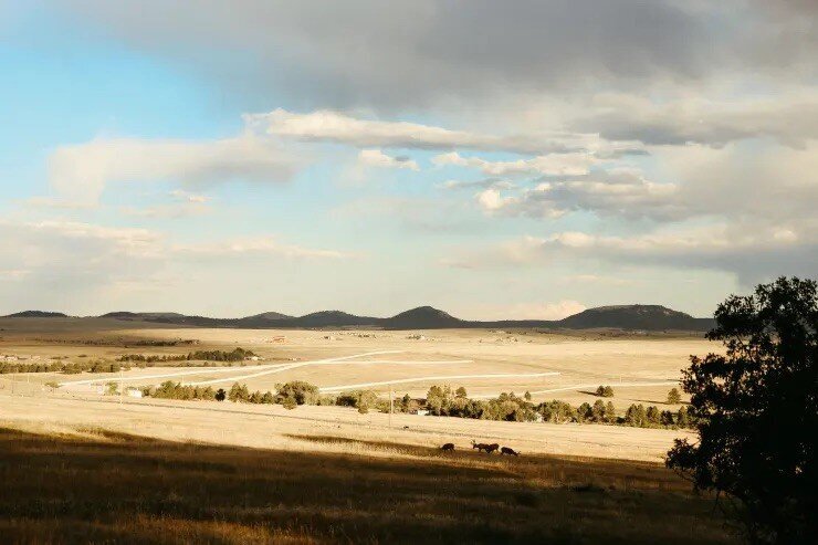 Standiford4