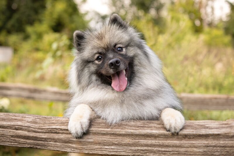 AWP FB 2025 Client Session (6 x 4 in) (7)