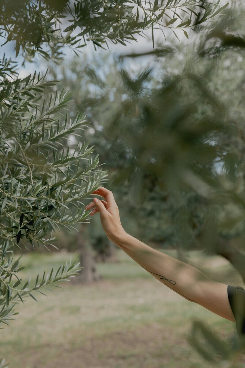 DTS_Caldo_Daniel_Farò_Photos_ID3948 (1)