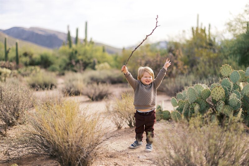 cairns-24-36_websize