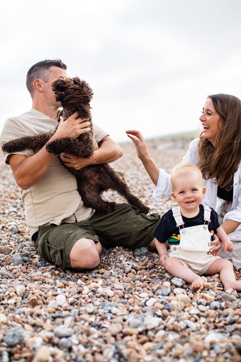family sitting on pebbled beach with  dog and baby